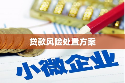 桃江贷款风险处置方案