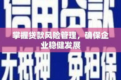 安泽掌握贷款风险管理，确保企业稳健发展