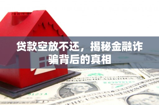 双江贷款空放不还，揭秘金融诈骗背后的真相